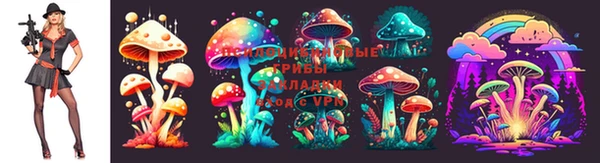 круглые Алексин